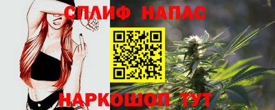 шишки Лесосибирск
